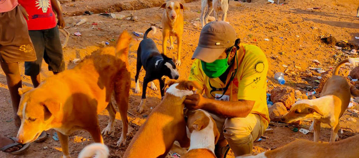 Goa man with dogs