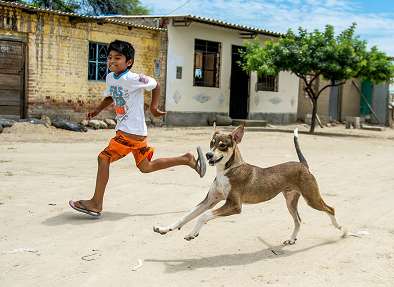 Happy boy and dog