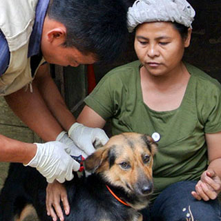 Man vaccinating dog