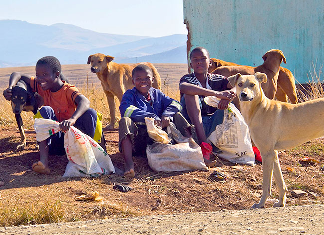 Happy African boys and a dog