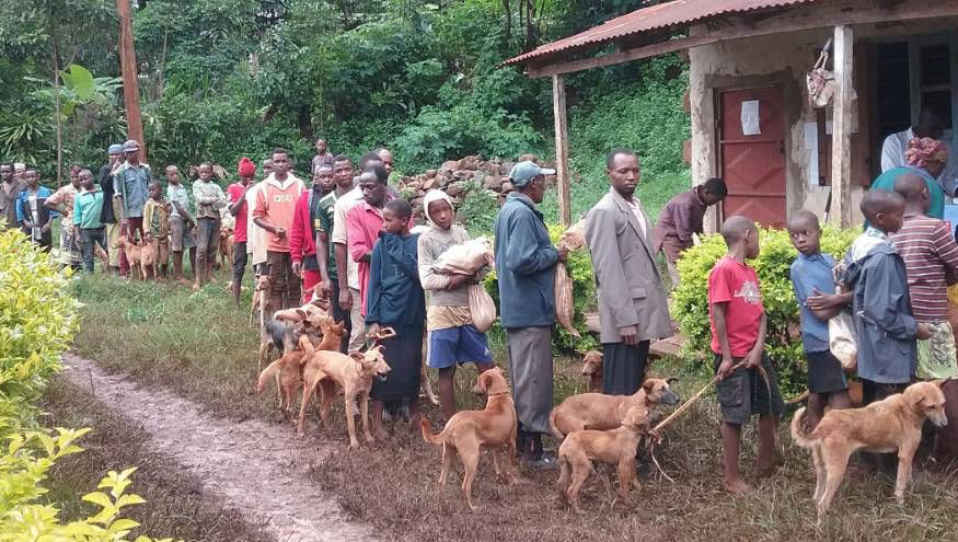 Queue of people waiting for vaccine