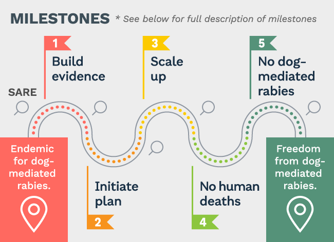 rabies roadmap graphic - text below describes the process in detail