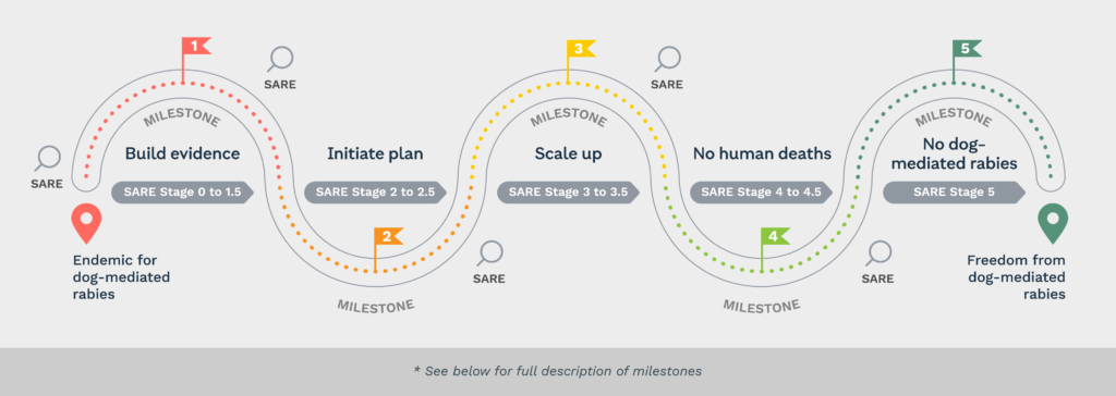 Rabies Roadmap Infographic