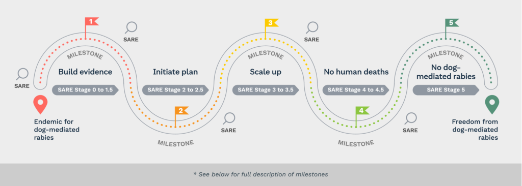 Rabies Roadmap Infographic